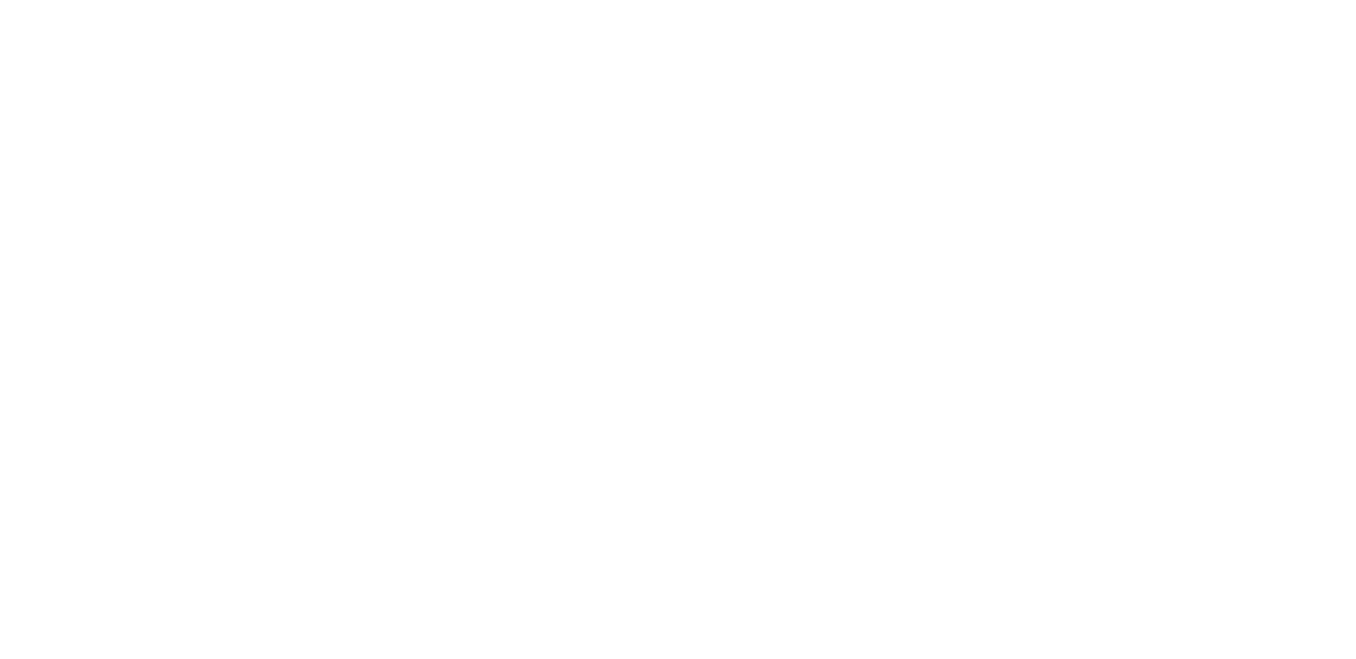 スプリング　エレクトロポレーション　エレポ　spring　美容機器